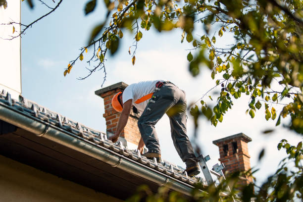 Quick and Trustworthy Emergency Roof Repair Services in Spartanburg, SC